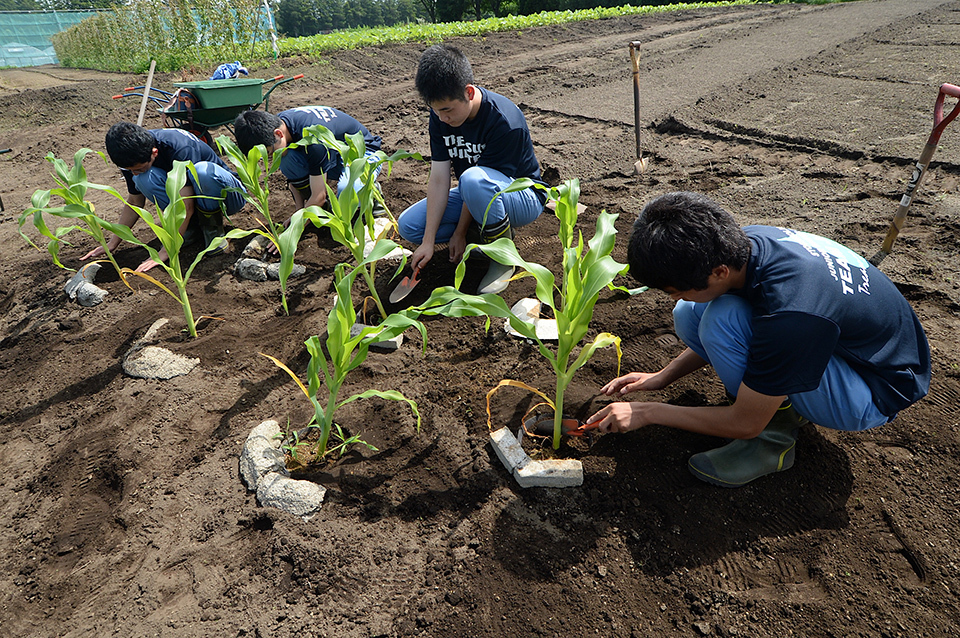 vegetable-packed biryani-style curry and a consommé julienne with onions grown