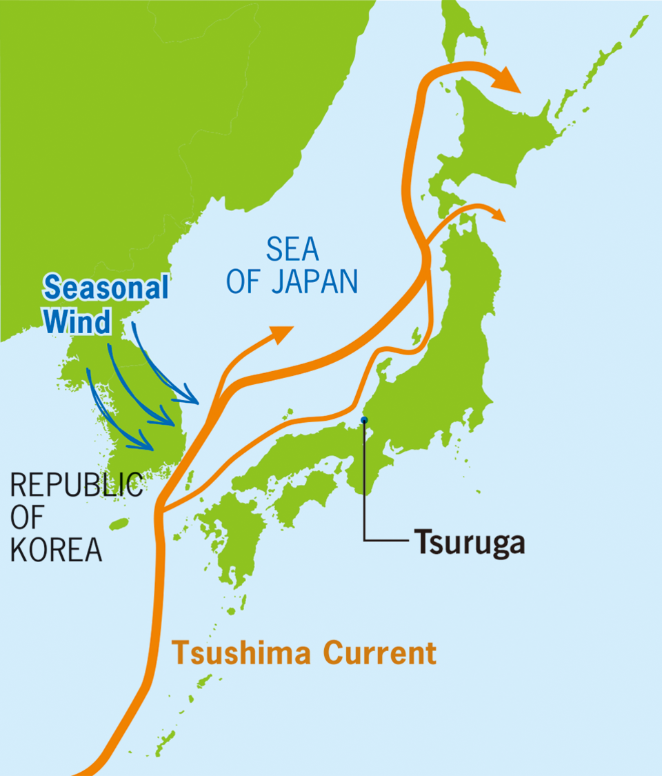 vegetable-packed biryani-style curry and a consommé julienne with onions grown