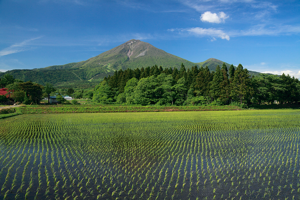 Bandai Town is working on digital transformation such as issuing a digital currency using blockchain technology. It also holds smartphone classes for seniors so that everyone can enjoy the digital life. HIRO /A.COLLECTIONRF/AMANAIMAGES