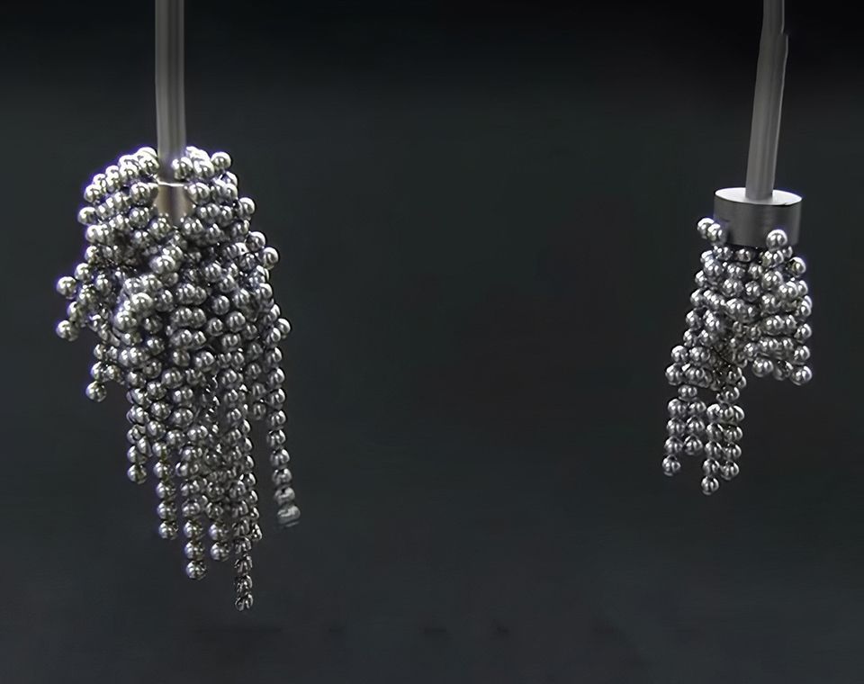 A major feature of the neodymium magnet (left) is its strong magnetic force; it is about 10 times stronger than a ferrite magnet (right), the most widely used magnet in the world, including for daily necessities. NATIONAL INSTITUTE FOR MATERIALS SCIENCE