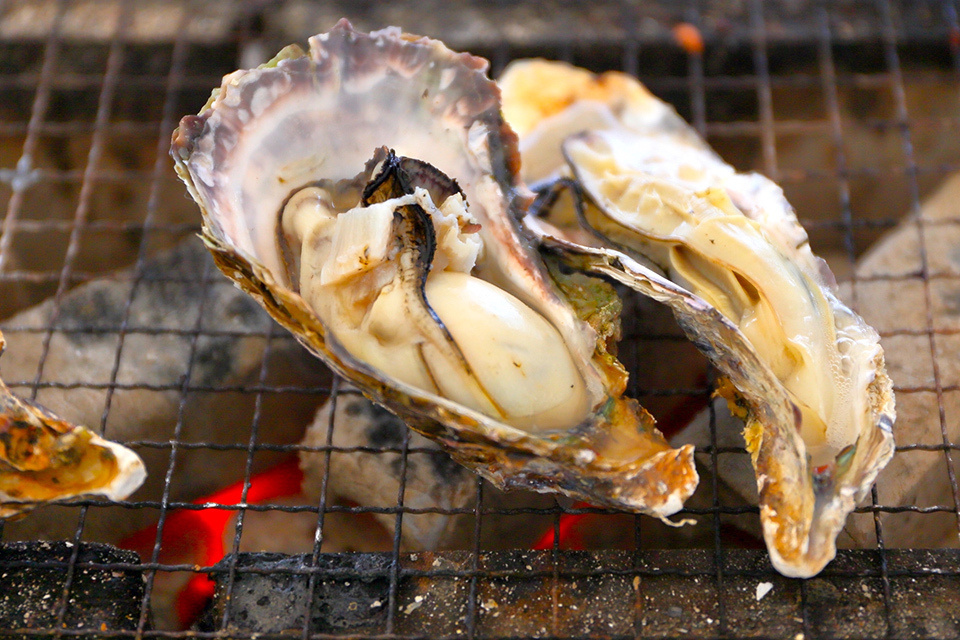 BBQ Oysters