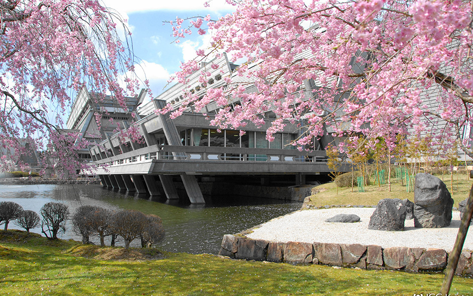 The Role of Criminal Justice in Achieving the SDGs