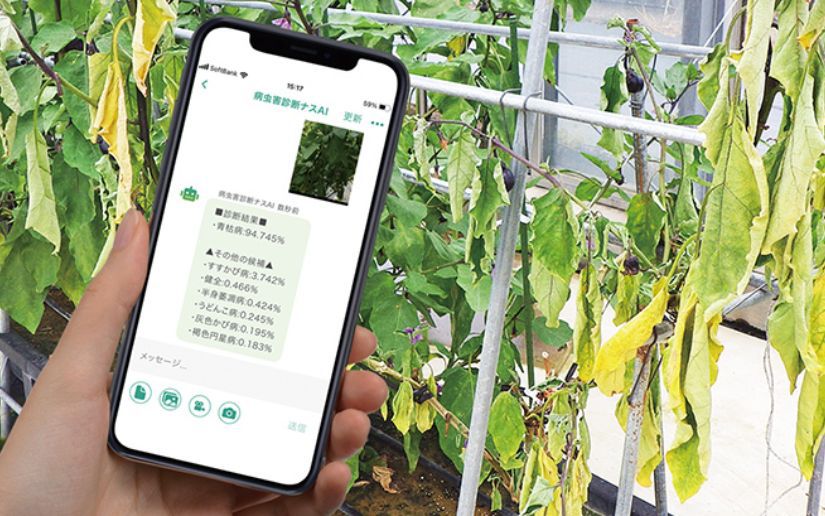 The Impact of AI: Anyone Can Be a Skilled Farmer