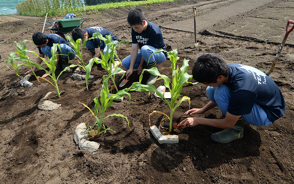 Young Minds Apply Tradition to Support Global Food Production