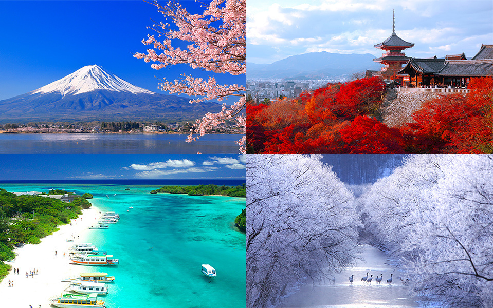 Seasonal Beauty in Japan