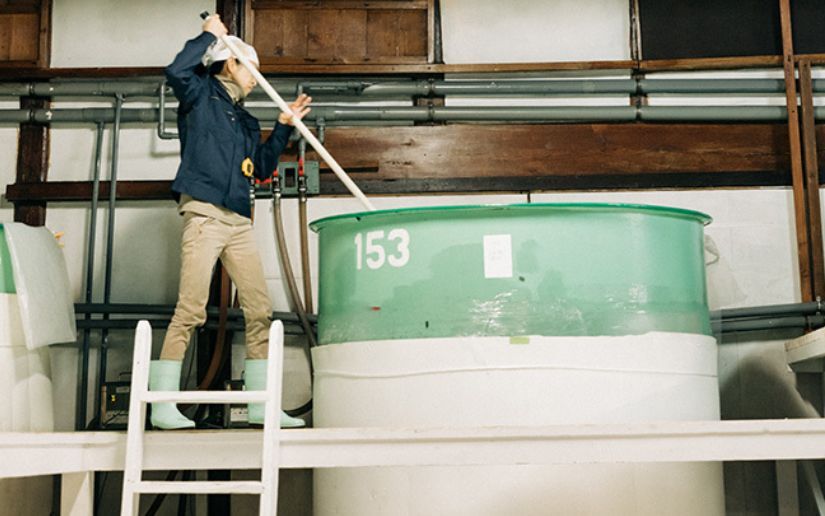 How a Hiroshima Sake Brewer Revived Her Family’s Brewery