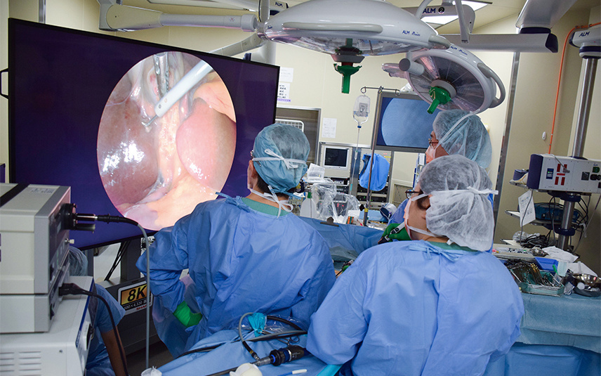 An 8K-Image Technology: A Game-Changer for Future Surgery