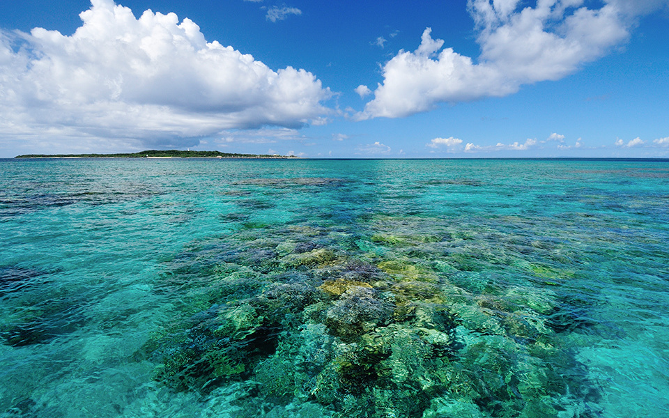 50th Reversion Anniversary: Okinawa’s Sustainable Tourism Development and Beyond