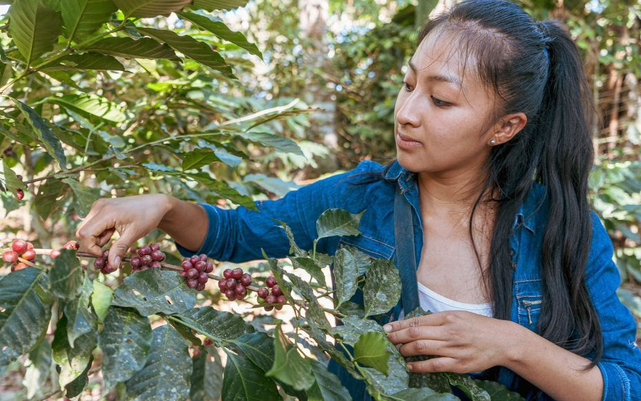 An Online Coffee Trading Platform Making the Industry Sustainable