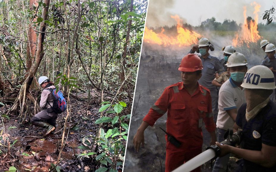 Management Systems to Prevent Peatland Fires in Indonesia and Beyond