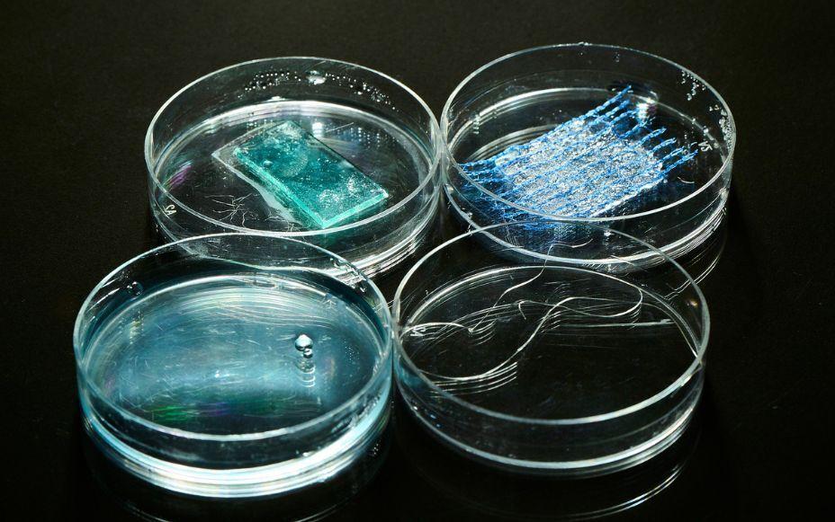 “Next-Generation” Gel Transforms the Future of Medicine