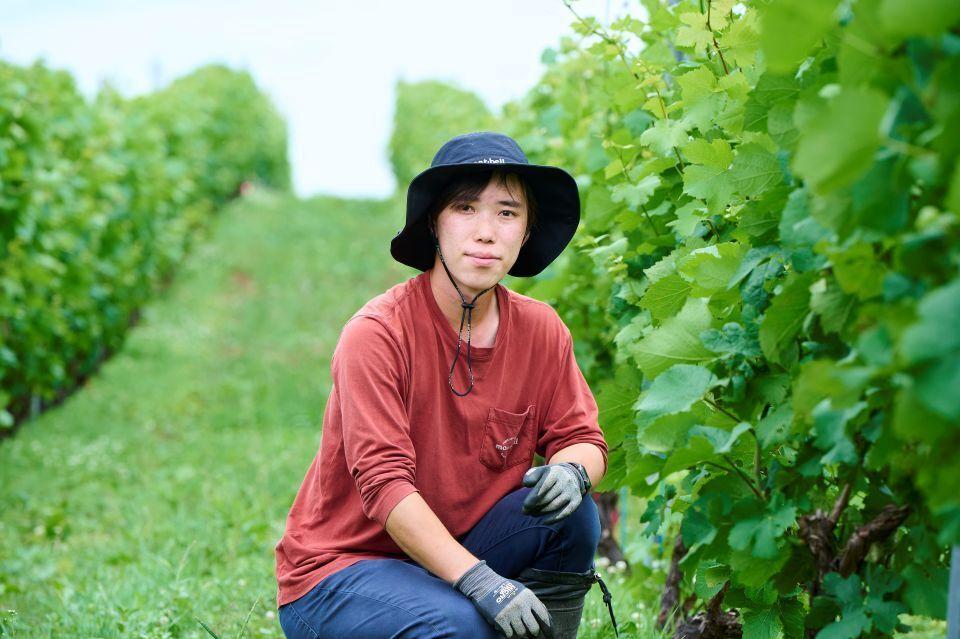 A young Japanese man next to leafy green grapevines in a vineyard in Yoichi