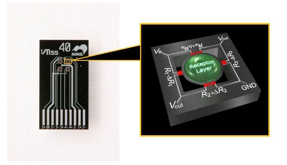 An image showing the circutry of a Membrane-type Surface stress Sensor chip